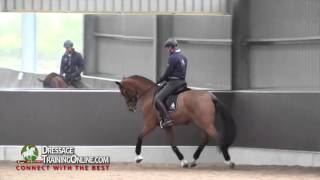 Dressage training with Garreth Hughes How to improve the trot [upl. by Fiora333]