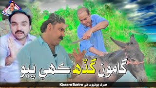 Gamoo Gadah kuhen payo sajad makhni with kheero Buriro Sindhi funny [upl. by Adamo]