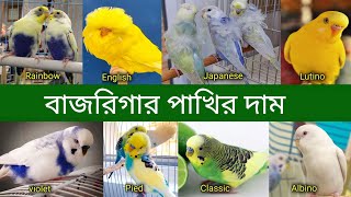 বাজরিগার পাখির দাম 2023 পাখি পালন  Budgerigar Bird price In Bangladesh and India 2023  Grow Life [upl. by Dubenko]