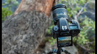 Nikon D7500 Full Features  Why its Best For You [upl. by Yroc925]