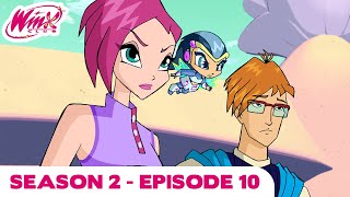 Winx Club  Season 2 Episode 10  The Crypt of the Codex  FULL EPISODE [upl. by Eerrehc]