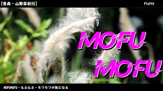 【onomatopoeia】Fluffy [upl. by Derfliw]