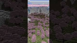 Amazing Minecraft Bedrock Seeds quotCherry Grove Editionquot shorts [upl. by Cathrine]