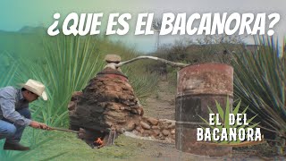 HISTORIA DEL BACANORA  El del Bacanora [upl. by Annayk]