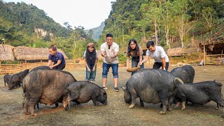 Worlds First Discovery Vlog To Visit Ly Thi Ca Farm amp Residence [upl. by Ajnot]