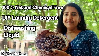 DIY Soapnut Laundry DetergentDishwashing LiquidHow to make Soapnut LiquidSoapnuts with Bioenzymes [upl. by Pepita]