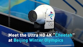 Meet the Ultra HD 4K “Cheetah” at Beijing Winter Olympics [upl. by Normac]