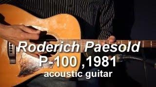 Roderich Paesold P100 Acoustic Guitar 1981 demo [upl. by Coniah]