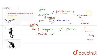 Which one is poikilothermic and amniote [upl. by Thorin]