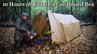 10 Hours of Rain in a Cardboard Tent [upl. by Murvyn870]