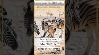 Namibias breathtaking landscapes etosha national park fish river canyon lodge topdestinations [upl. by Vary926]