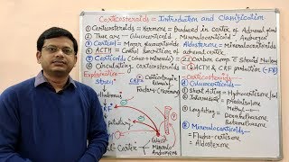 Corticosteroids Part 01  Introduction and Classification of Corticosteroids  Corticosteroids [upl. by Yoshiko]