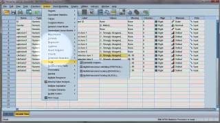 Reliability test Compute Cronbachs alpha using SPSS [upl. by Nela]