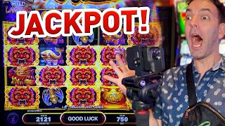 🎲 MAX BET  Best Wild Roll  JACKPOT [upl. by Haletky813]