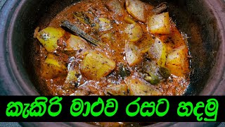 ගමේ රසට කැකිරි මාළුව හදමු  Kakiri Curry  Kakiri ambula by KKS Kitchen [upl. by Esereht]