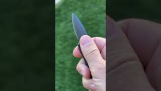 Micro Hornet OTF Knife  knife tactical otfknife ravencresttactical [upl. by Rednave]