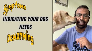 Symptoms Indicating the Deworming Time Of Dogs  Not So Cheesy Life [upl. by Llebyram]