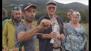 Michaël Georget Le temps retrouvé Viticultura biodinàmica amb cobertes espontànies [upl. by Attenov330]