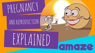 How Do You Get Pregnant  Planned Parenthood Video [upl. by Wyatan]