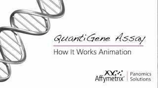 QuantiGene 20 How it Works  Animation [upl. by Tarrah]