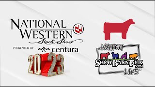 National Shorthorn Open Show  NWSS 2023 [upl. by Eenerb469]