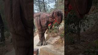 Scary dino 🦖 Pakistan tourist place travelvlog [upl. by Gratiana169]