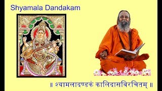 Shyamala Dhandakam Chant by Pujyasri Swami Omkarananda [upl. by Yorgos]