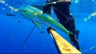 Carls Guns The Désirade Part One Spearfishing [upl. by Sherj]