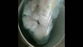 How to empty a Diaper Genie II [upl. by Peria]