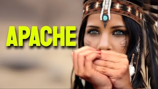 APACHE HARMONICA  C DIATONIC  ARMÓNICA C TABS BLUES HARP C GAITA DE BOCA C MUNDHARMONIKA C [upl. by Akirdnwahs515]