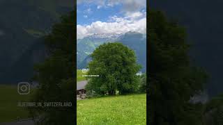 linthal glarus switzerland swiss suisse paradise video youtube shorts viralvideo fyp [upl. by Fritzsche]