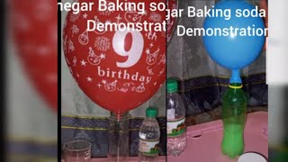 Vinegar and baking soda balloon experiment steps and observation Made at Home [upl. by Vickie883]