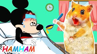 Mickey Got Sick Doctor Hamster Check Up Mickey  Hamster Cartoon [upl. by Lazos]