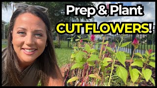 Flower Bed Ready 🌸 Planting My First Cut Flower Garden in Florida [upl. by Xavier643]