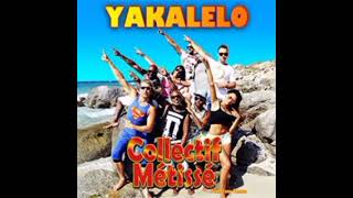 Collectif Metisse  Yakalelo  Willy William remix [upl. by Anyar903]