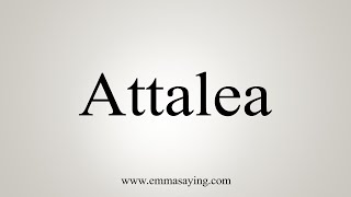 How To Say Attalea [upl. by Eiramlehcar]