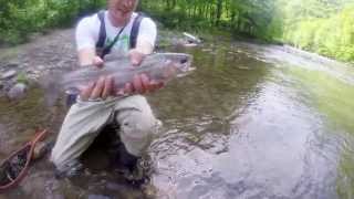 Catskills Fly Fishing  SpringSummerFall 2014 [upl. by Glass350]