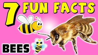 7 FUN FACTS ABOUT BEES BEE FACTS FOR KIDS Insects Learning Colors Honey Nest Funny Sock Puppet [upl. by Virgin369]