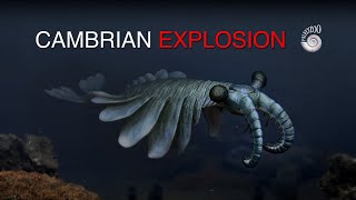 Cambrian Explosion of Animalia [upl. by Hermann]