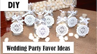 DIY Easy Wedding Party Favor IdeaVintage Bottle Dove Theme [upl. by Hakceber163]