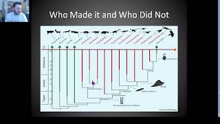 12 Billion Years Maine Geology Pt 9 Paleocene Miocene Eocene bird evolution Ice age [upl. by Nilak585]