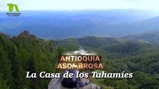 Antioquia Asombrosa La casa de los Tahamíes cerro el tetoná  Teleantioquia [upl. by Bannister]