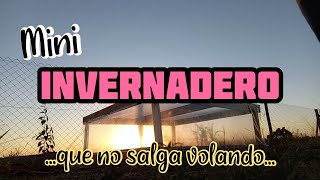 Mini INVERNADERO casero rápido y fácil con palets  apto para lugares ventosos [upl. by Oiled]