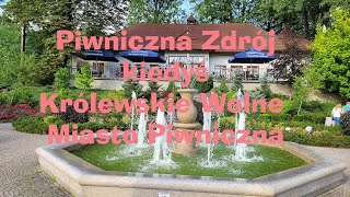 Piwniczna Zdrój Królewskie Wolne Miasto Piwniczna Pijalnia artystyczna Odwiert Piwniczanka [upl. by Uzzial899]