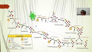 Glucolisis aerobia [upl. by Esac]