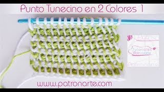 Punto Tunecino en 2 Colores Parte 1 [upl. by Caspar]