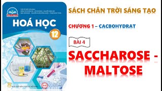 HÓA 12  CHÂN TRỜI SÁNG TẠO  BÀI 4  SACCHAROSE VÀ MALTOSE [upl. by Ahsinelg675]