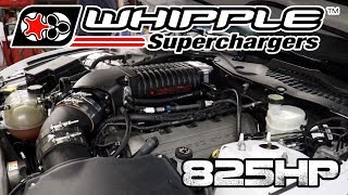 825 HP 29L Stage 2 Whipple Install on a S550 2016 Mustang GT [upl. by Aicila754]