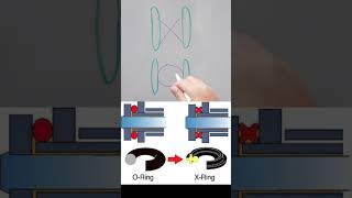 XRing vs ORing Motorcycle Chain [upl. by Ellatsirhc]