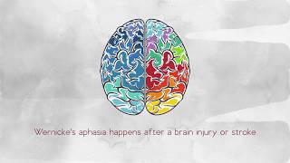 What Is Wernickes Aphasia [upl. by Nuri]